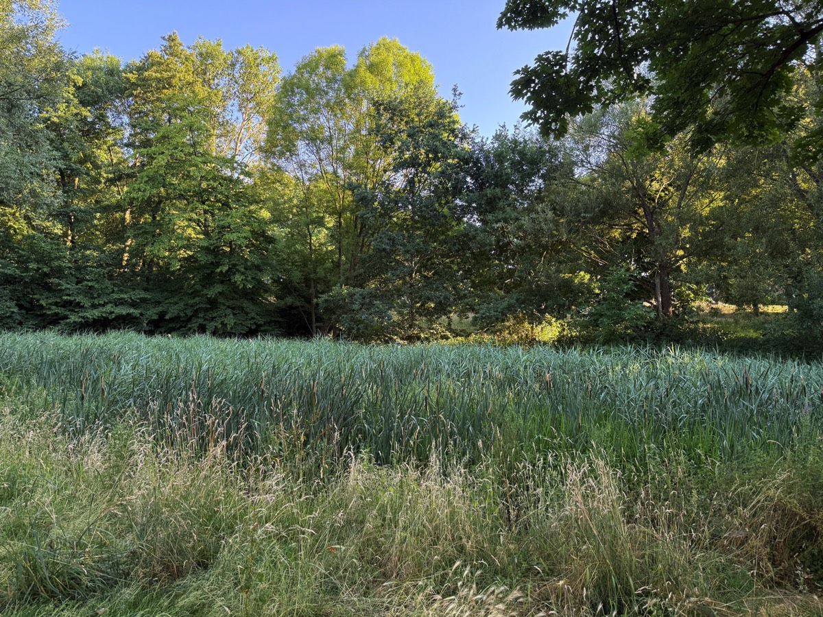 Stacks Image 813